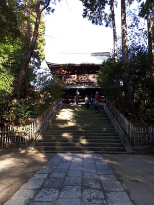20181204_141857.jpg