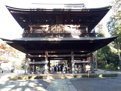 20181204_141938.jpg