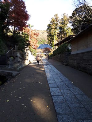 20181204_142452.jpg