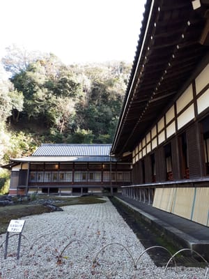 20181204_142555.jpg