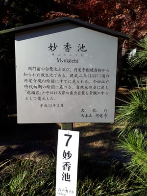 20181204_142639.jpg