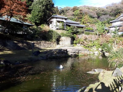20181204_142704.jpg