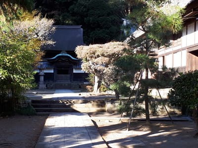 20181204_142848.jpg