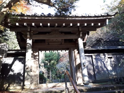 20181204_143321.jpg