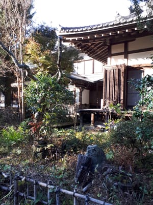 20181204_143359.jpg