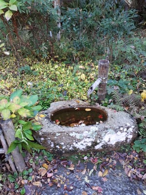 20181204_143423.jpg