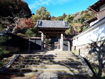 20181204_143629.jpg