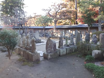 20181204_144029.jpg