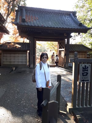 20181204_144954.jpg