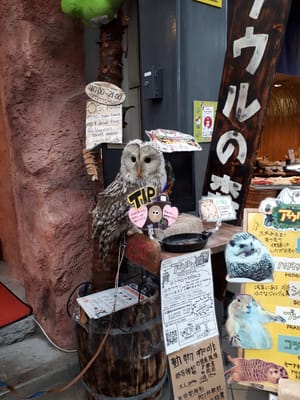 20181205_121809.jpg