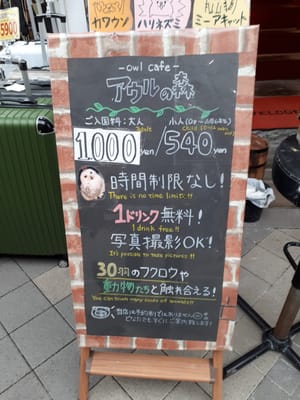 20181205_121956.jpg