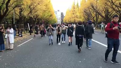 LINE_MOVIE_1543324079611.mp4