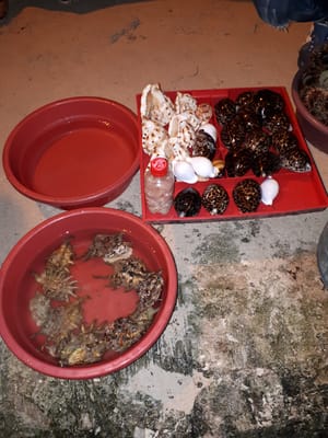 20180115_185310.jpg