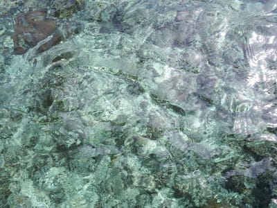 20180117_100750.jpg