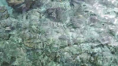 20180117_100758.mp4