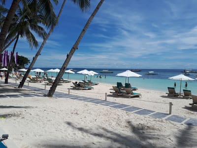 20180119_121304.jpg