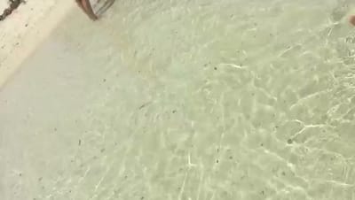 VID-20180117-WA0012.mp4