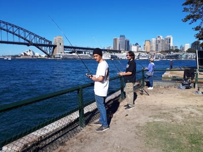 20180520_124835.jpg
