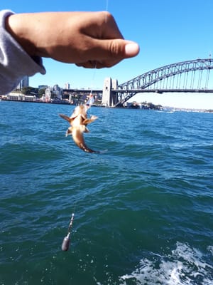 20180520_131956.jpg