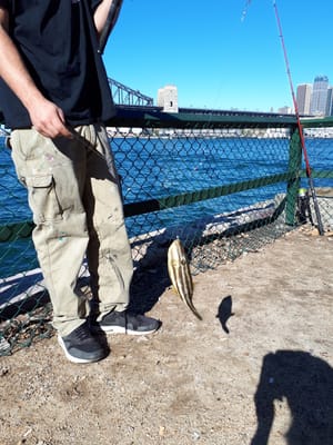 20180520_132121.jpg