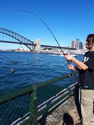 20180520_132728.jpg