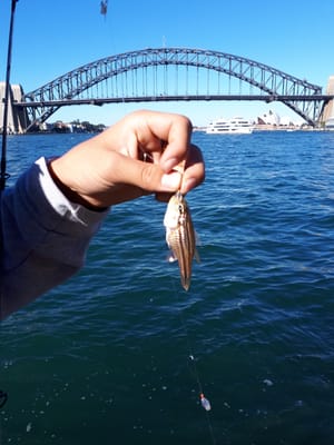 20180520_133247.jpg
