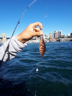 20180520_141519.jpg