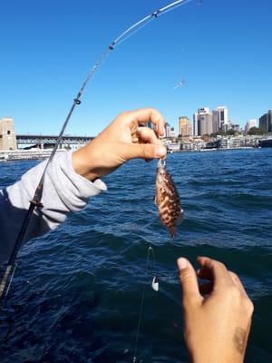 20180520_141520.jpg