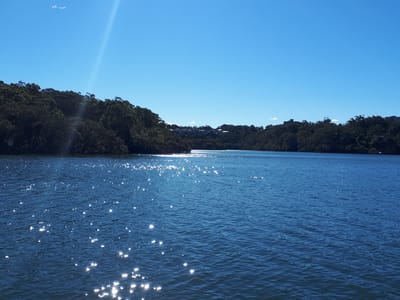 20180617_120628.jpg
