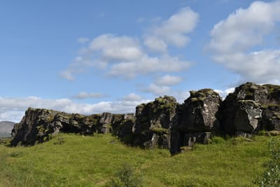 DSC_6363.jpg