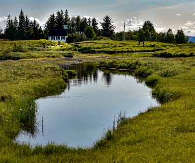DSC_6366.jpg