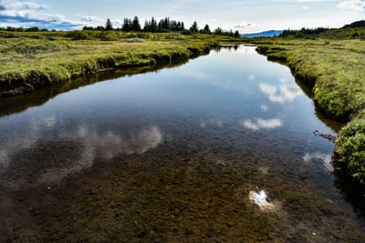 DSC_6367.jpg