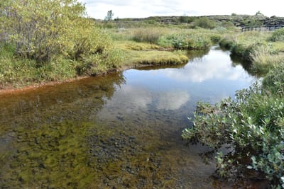 DSC_6371.jpg