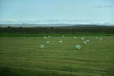 DSC_6393.jpg