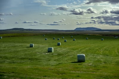 DSC_6396.jpg