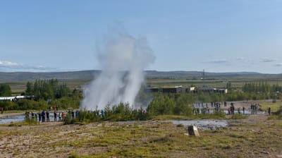 DSC_6415.jpg