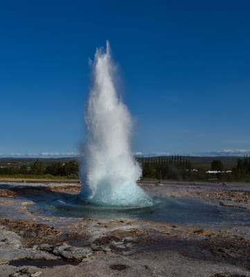 DSC_6416.jpg