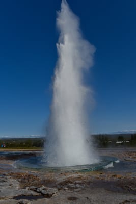 DSC_6417.jpg