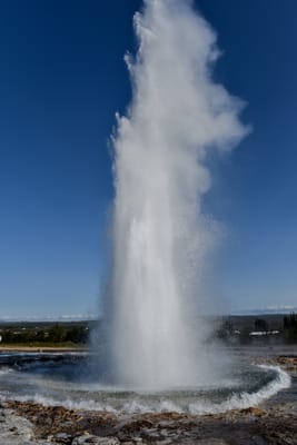 DSC_6418.jpg