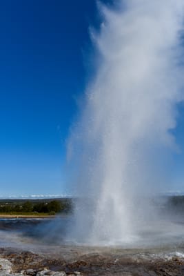 DSC_6419.jpg