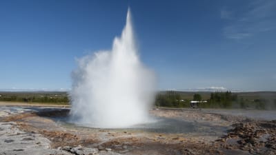 DSC_6429.MOV