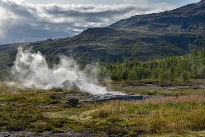 DSC_6438.jpg