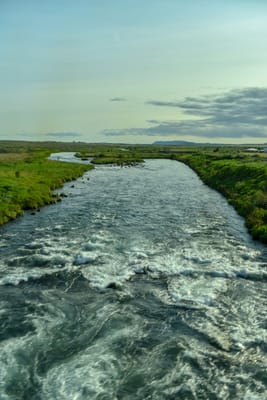 DSC_6440.jpg