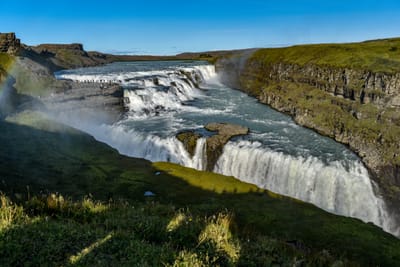 DSC_6445.jpg