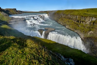 DSC_6463.jpg