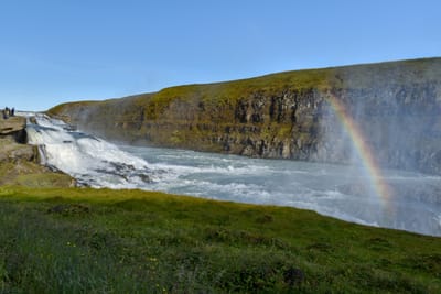 DSC_6484.jpg