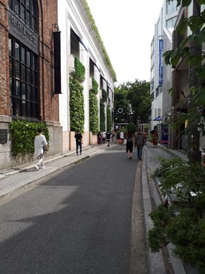20180626_142819.jpg