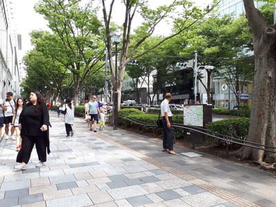 20180626_143110.jpg