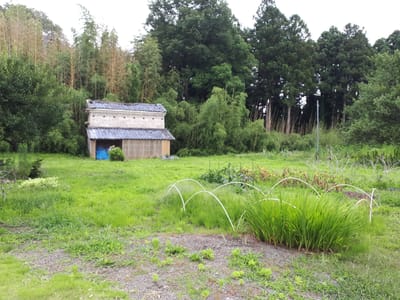 20180628_123651.jpg