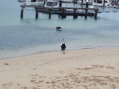 20180304_152935.jpg